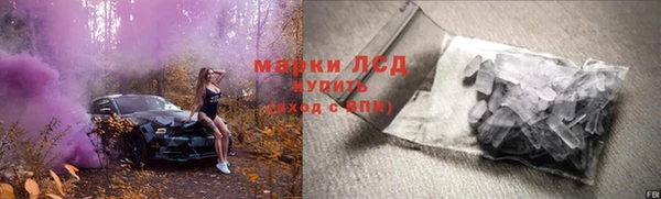 дмт Бикин