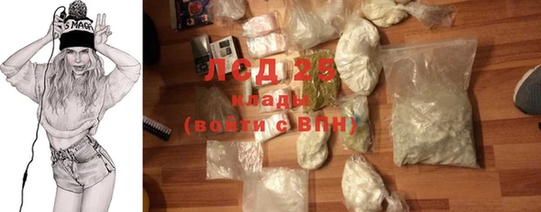 ГАЛЛЮЦИНОГЕННЫЕ ГРИБЫ Надым