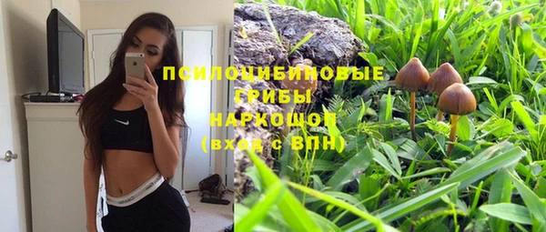 ГАЛЛЮЦИНОГЕННЫЕ ГРИБЫ Надым