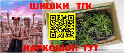тгк Жуковский