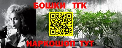 тгк Жуковский
