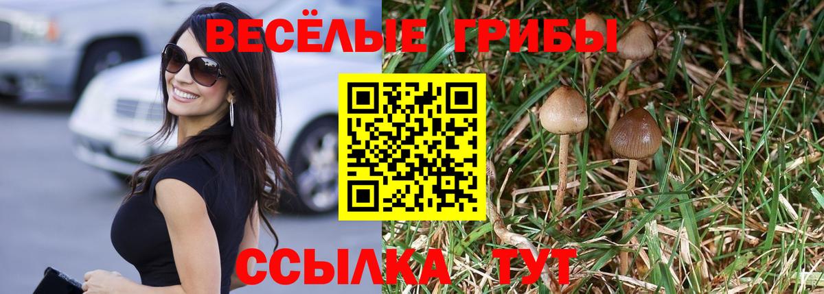 Псилоцибиновые грибы ЛСД  магазин  наркотиков  Новороссийск  Вход с VPN 