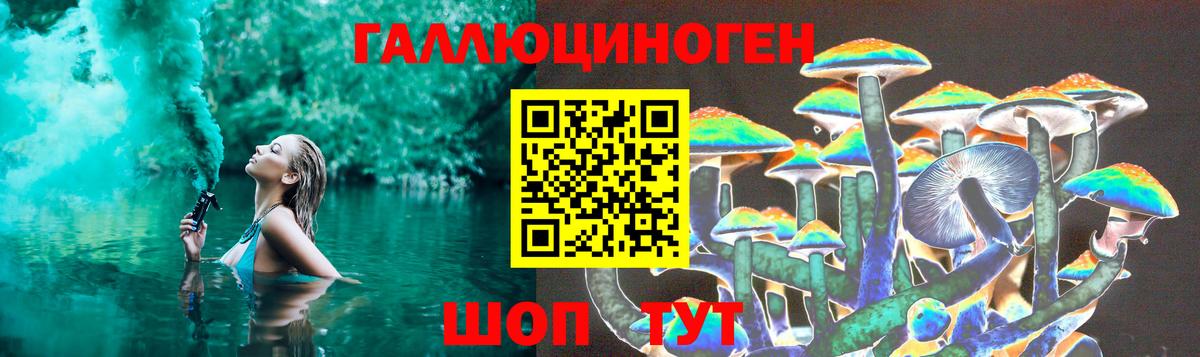 Псилоцибиновые грибы прущие грибы Новороссийск