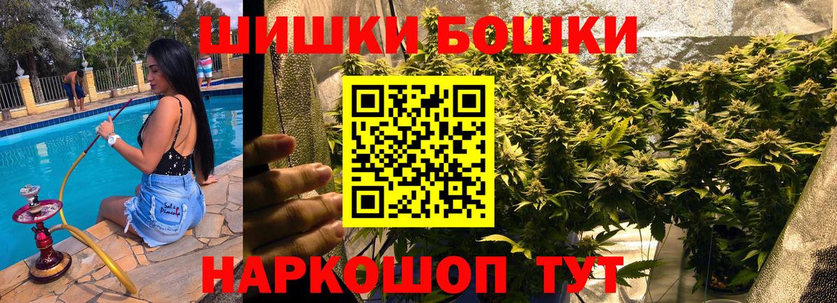 Бошки марихуана план  Новороссийск  Каннабис сатива 